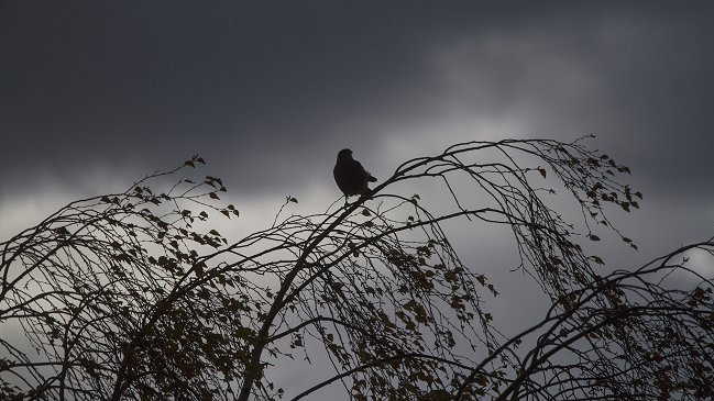 Alerta por sistema frontal para tres regiones de la zona sur