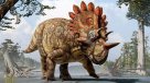Descubren un extraño dinosuario con cuernos