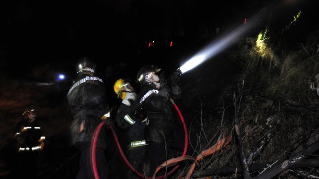 Onemi decretó alerta roja para Valparaíso por incendio forestal
