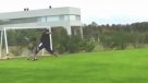 El patadón de Maradona a su pequeño nieto al momento de luchar una pelota