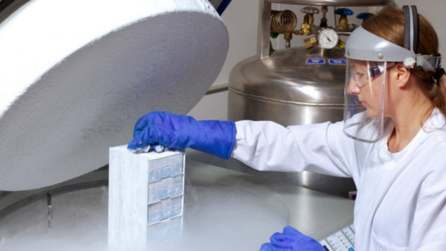 Mujer no podrá usar óvulos de su hija muerta para dar a luz a sus nietos