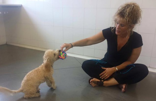 Imagen foto_00000004