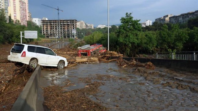 Un tigre que huyó de zoológico en Georgia mató a una persona