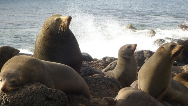 Imagen foto_00000001