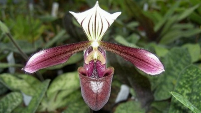 Imagen foto_00000002