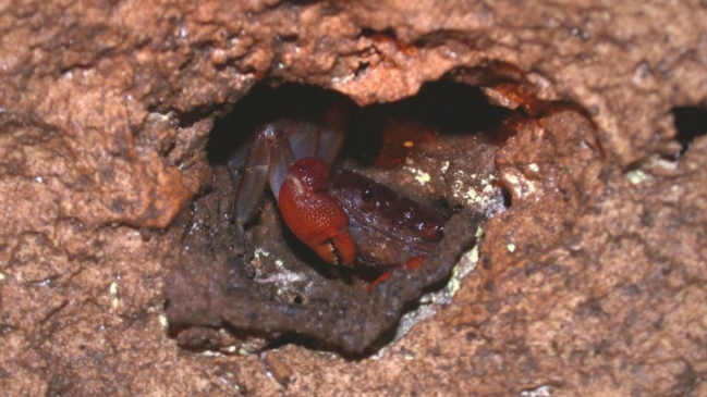 Imagen foto_00000005