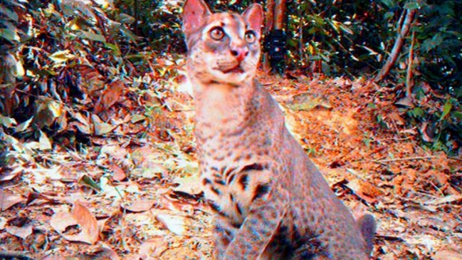 Imagen foto_00000006