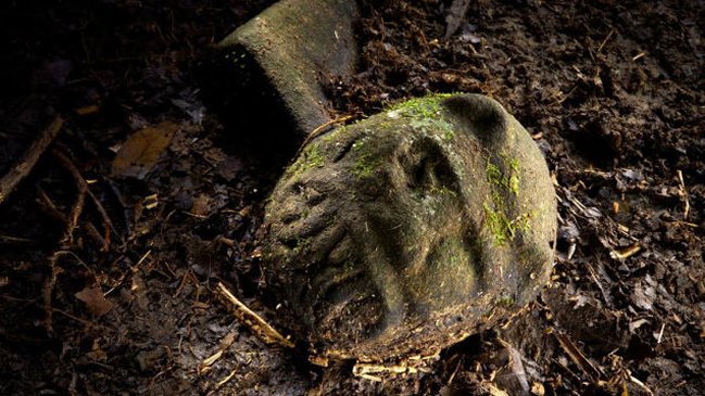 Imagen foto_00000014