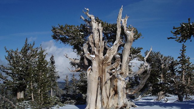 Imagen foto_00000001