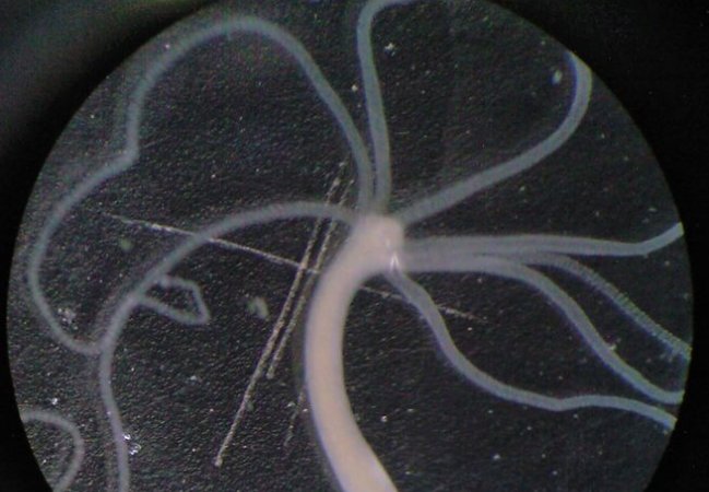 Imagen foto_00000003