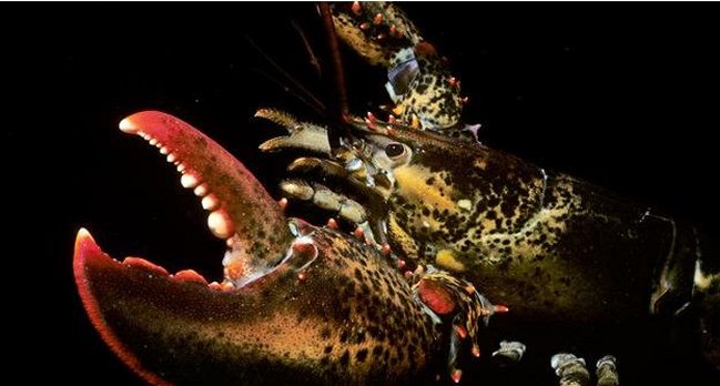 Imagen foto_00000004