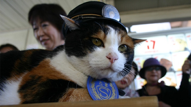 La emotiva despedida a Tama, la gata nombrada jefa de estación en Japón