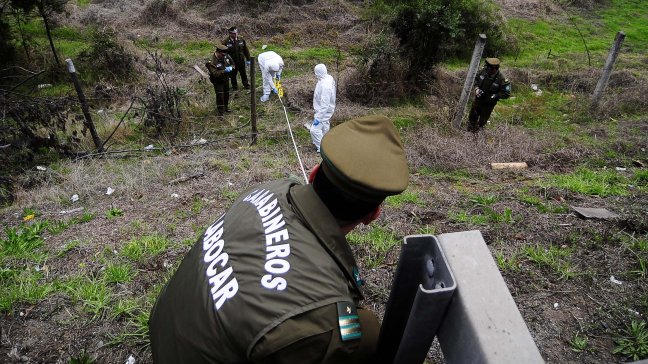 Delincuentes robaron 80 vacunos en fundo de La Araucanía