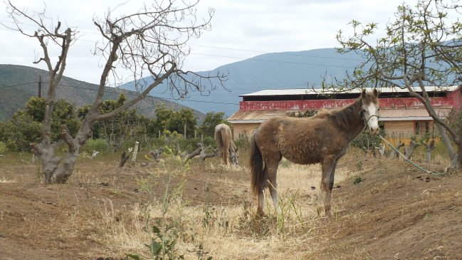 MOP decretó escasez hídrica en nueve comunas de Valparaíso