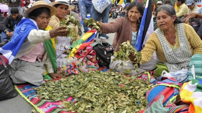 Bolivia: Repartirán 20 mil bolsas de hoja de coca durante visita del papa