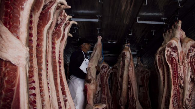 Clausuran matadero clandestino en Villa Alemana