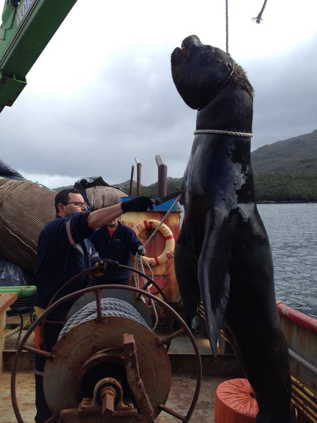 Imagen foto_00000002