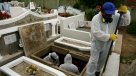 Exhumarán cuerpos de ocho trabajadores de ex División Ventanas de Enami