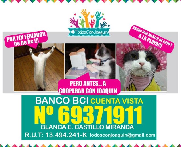 Imagen foto_00000017