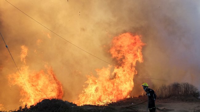 Gobierno extendió beneficios para afectados por el megaincendio de Valparaíso