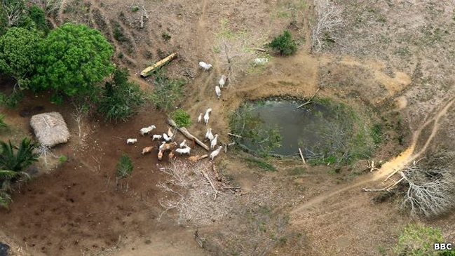 Imagen foto_00000003