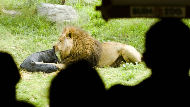 Imagen foto_00000015