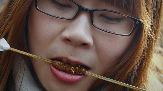 Científicos piden investigar variedades de insectos para combatir la hambruna