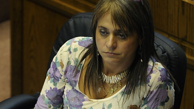 Van Rysselberghe: Proyecto de identidad de género es camino corto al matrimonio igualitario