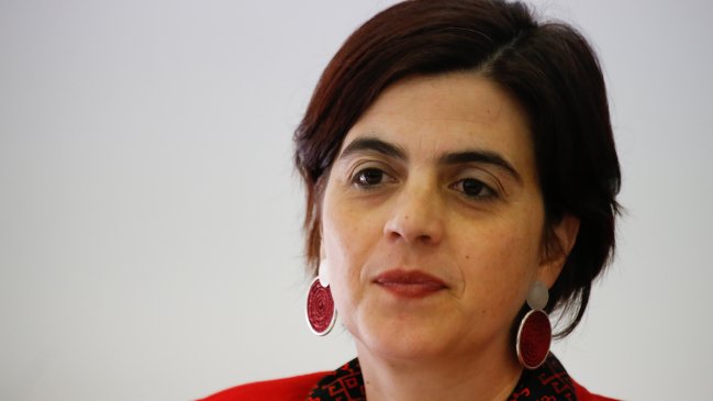 Gobierno: El proyecto de aborto no impone a nadie que haga lo que no quiere hacer