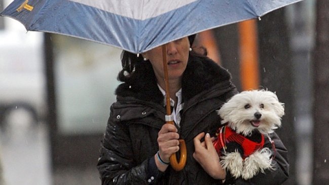 Cómo cuidar a las mascotas en días lluviosos