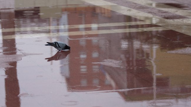 Arica y Parinacota se prepara para recibir sistema frontal