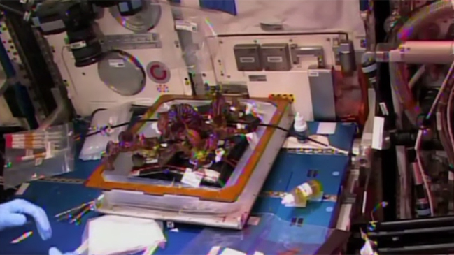 Astronautas de la EEI saborearon la primera lechuga espacial