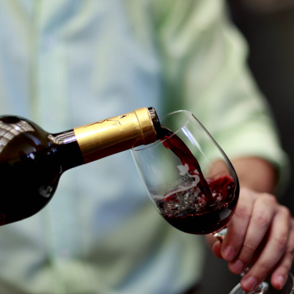 Producción de vinos subió 30% y retomó nivel de 2013