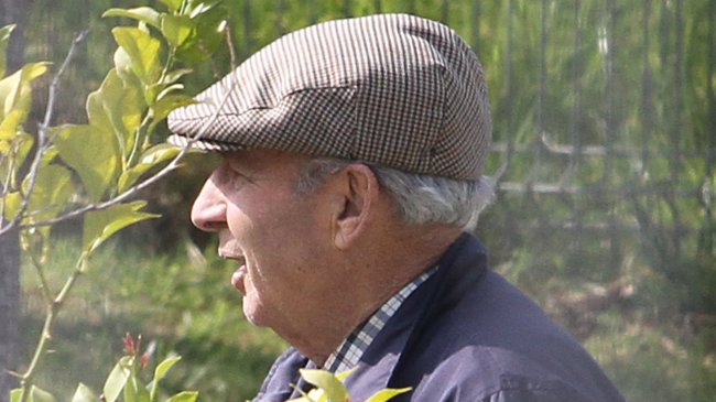 Imagen foto_00000001