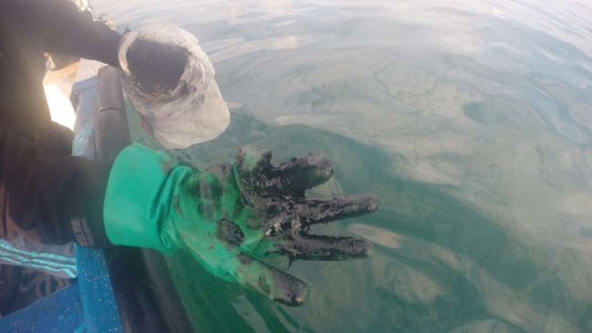 Agrupación Salvemos Quintero: 