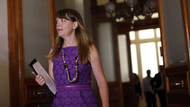 Caso SQM: SII investiga a ex administrador electoral de Von Baer