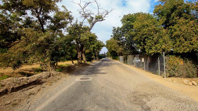 Municipalidad de San Rafael rechazó proyecto para planta de tratamiento fecal en el Maule