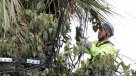Alcalde de San Clemente exige compensaciones por extenso corte de luz
