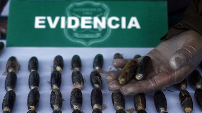 Mujer lideraba banda que traía a Chile cocaína desde Bolivia