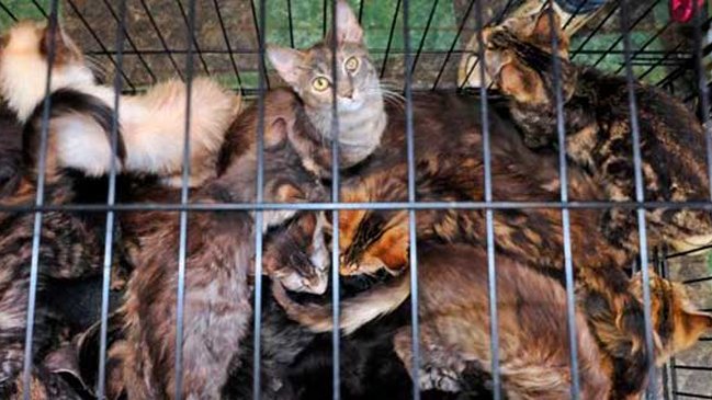 Imagen foto_00000014