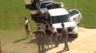 Autoridades detuvieron a hombre que provocó tiroteo en U. de Mississippi