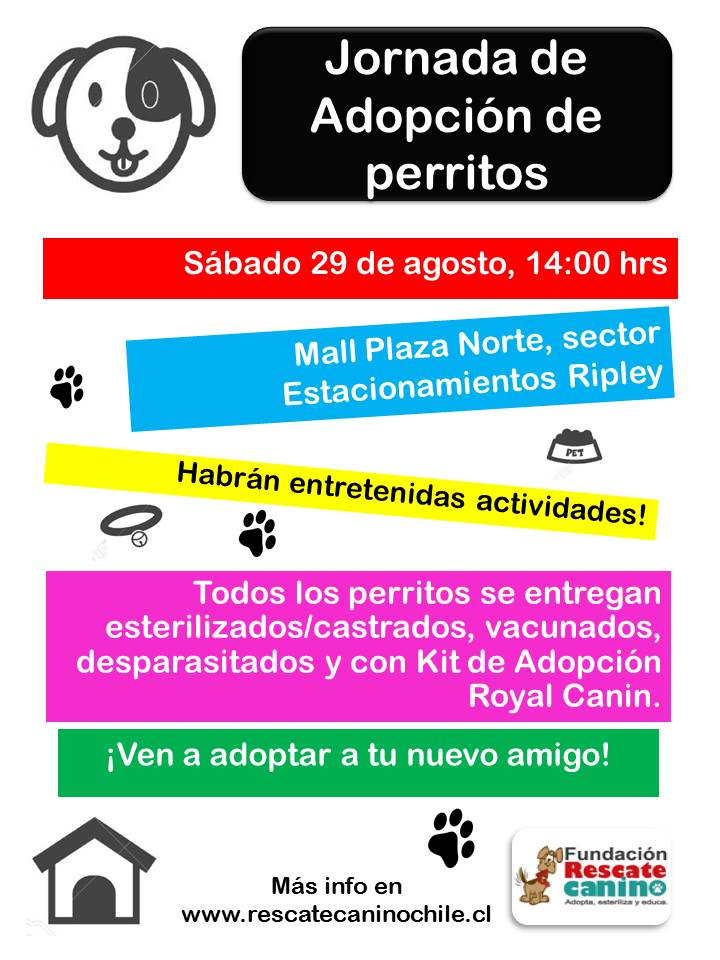 Realizan jornada de adopción canina en mall Plaza Norte