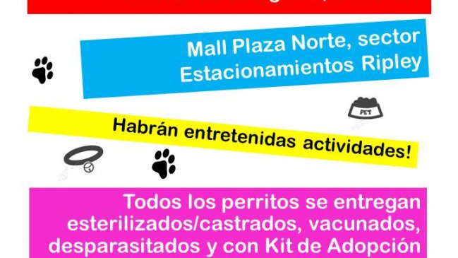 Realizan jornada de adopción canina en mall Plaza Norte