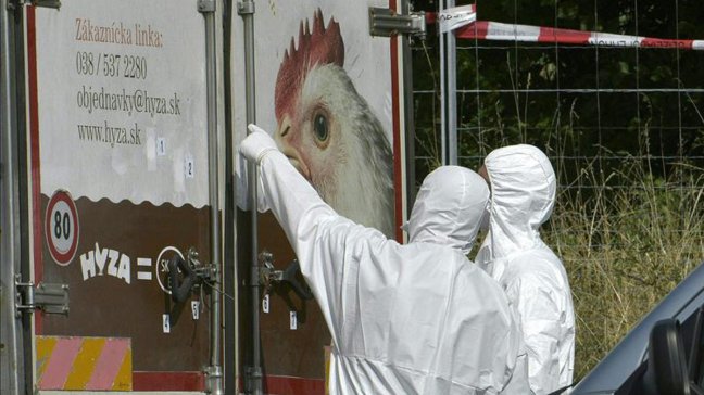 Imagen foto_00000015