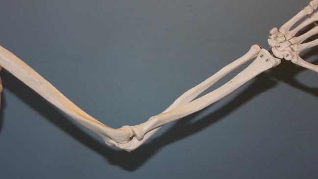 Imagen foto_00000001