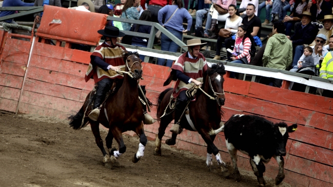 Organización convocó a una movilización nacional contra el rodeo