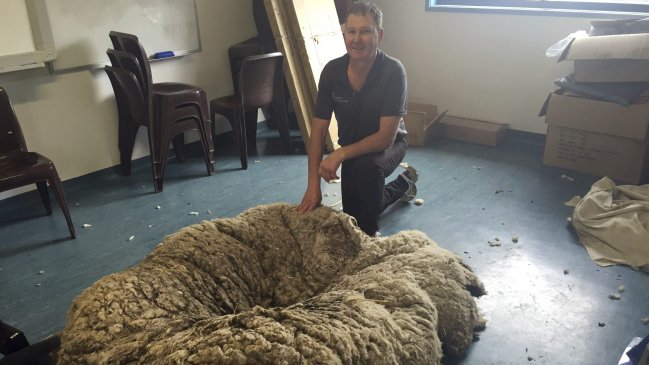 Imagen foto_00000002