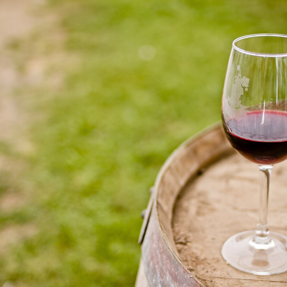 Fundador de la Viña Morandé: El vino es el emblema de Chile