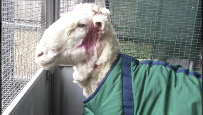 Imagen foto_00000016