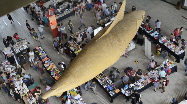 Los grandes logros del GAM en sus primeros cinco años de historia
